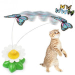 Jouet pour chat interactif papillon volant