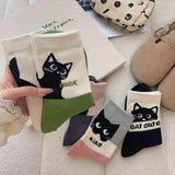 Lot de 5 Chaussettes Chat – Les Pattes Miaou 🐾