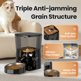 Distributeur automatique de croquettes pour chat