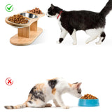 Gamelle Confort + Surélevée pour Chat