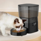 Distributeur automatique de croquettes pour chat