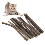 Hygiène dentaire chat bâton Catstick™