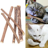 Hygiène dentaire chat bâton Catstick™