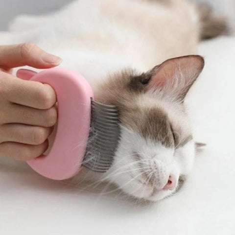 Brosse pour poils de chat massage