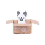 Marque page chaton petit carton