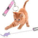 Laser pour chat souris lumineuse