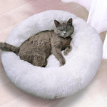 Panier chat confort & calme & santé