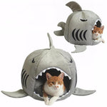 Panier chat grand requin