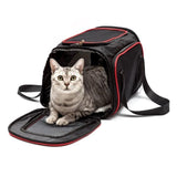 Sac de voyage chat classe business