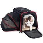 Sac de voyage chat classe business